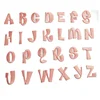 pink-single letter(pls make a note about the letter you need)