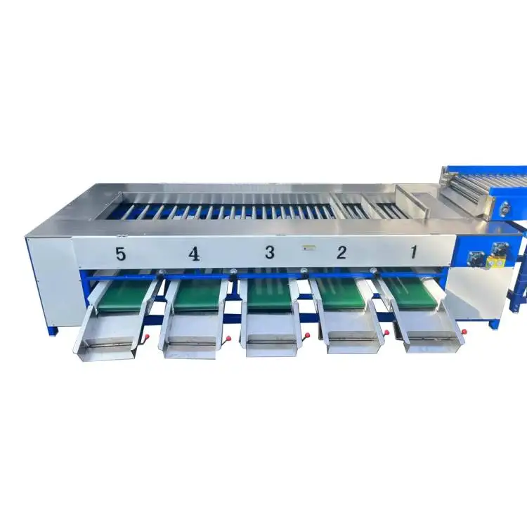 Professional Sorting Machine Ce Approved