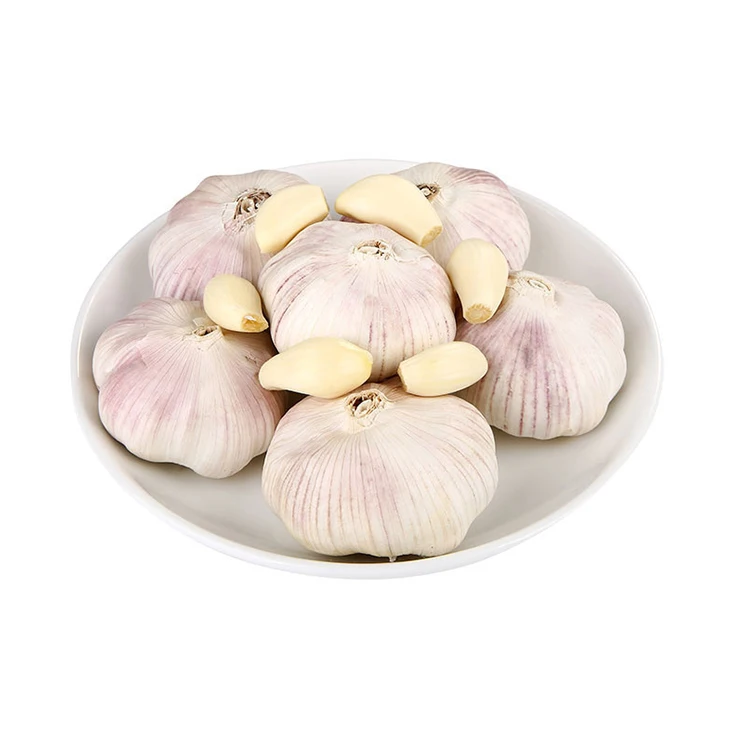 Factory Directly selling   normal  Garlic  high quality for export fresh garlic normal white