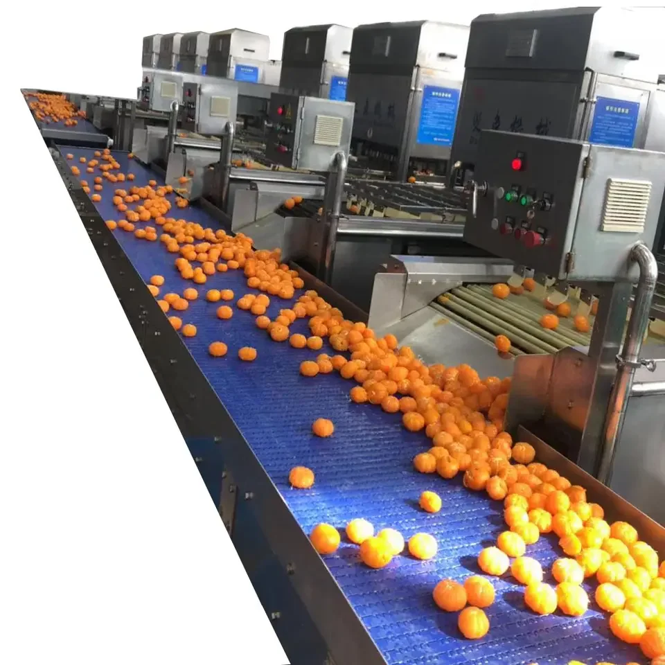 Industrial Automatic Tangerine Juice Making Extractor Machine Maker