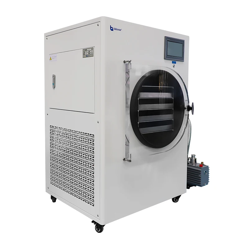 Hot Sales Vacuum Freeeze Dryer Strawberry Cucumber Kiwi Durian 50kg Freeze Dryer