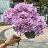 Morandi violet