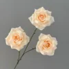 แชมเปญ
