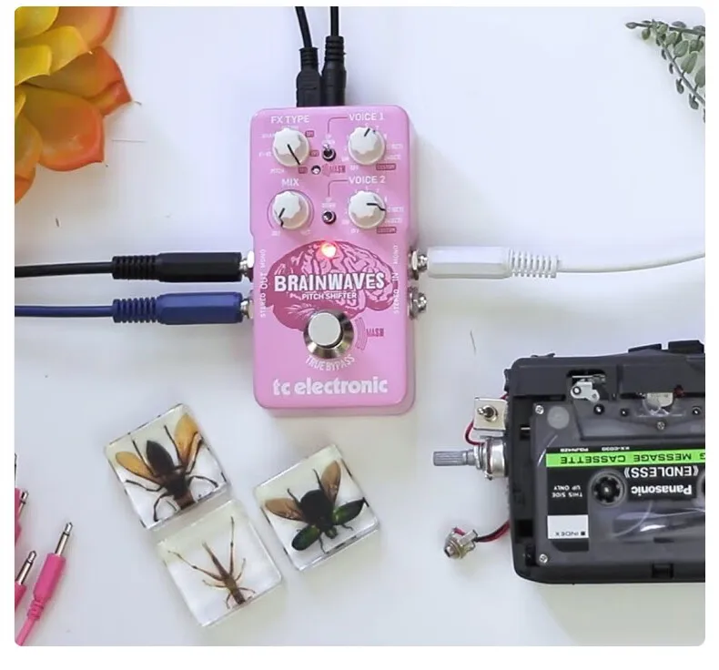 ギター tc electronic BRAINWAVES Pitch Shifter TC Electronic Brainwaves Pitch Shifter - Distortion Effect