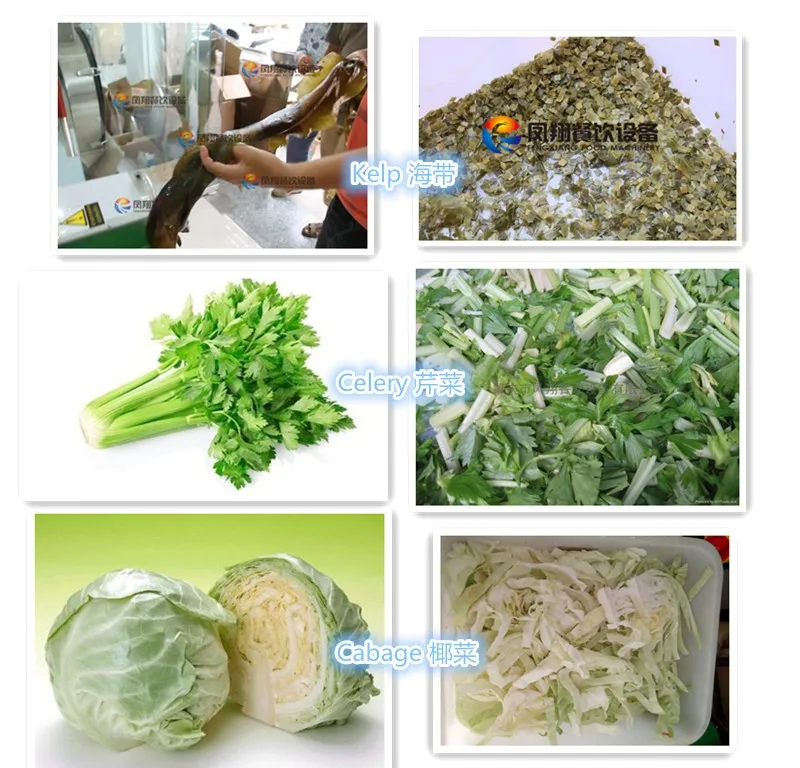 Commercial Spring Onion Cutting Machine Vegetable Cutter Leafy Vegetable Cutting Machine