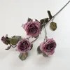 Rose garance