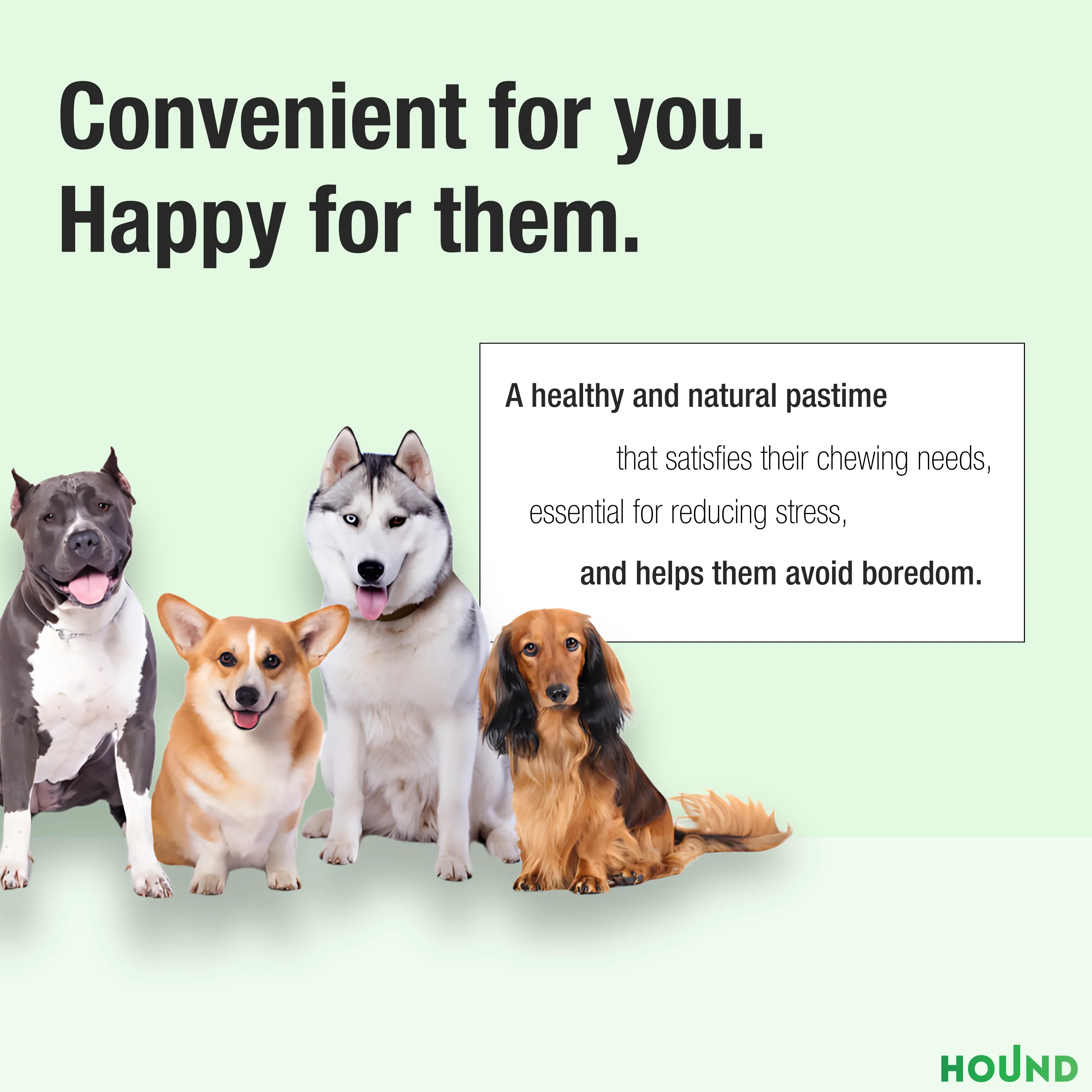 Private label Excellent Offer Unique Texture Natural Heather Root Dog Chew -Size XS Good For Teeth And Gums Health customization