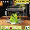 Large Square Bottom Bubble Tank - Oxygenation Package