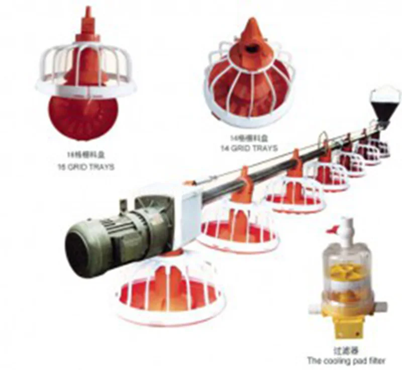 Poultry Automatic Feeding Line - Efficient Farming Solutions