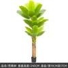 240cm/Three-Branch Banana Tree,