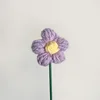 Puff flower purple