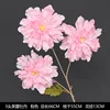 3 head hibiscus peony