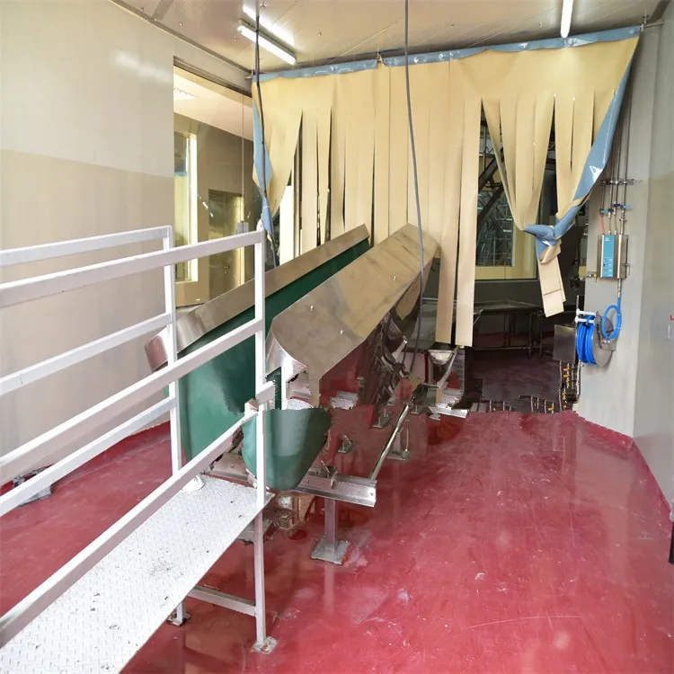 Sheep slaughterhouse plants 100 goat meat slaughterhouses per day