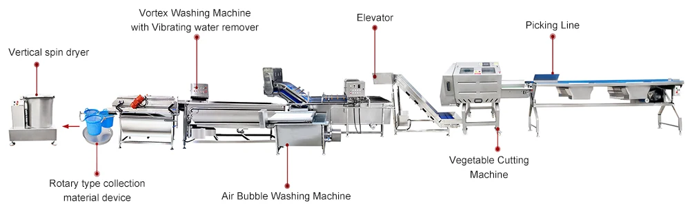 Salad Vortex Cleaning Machine details