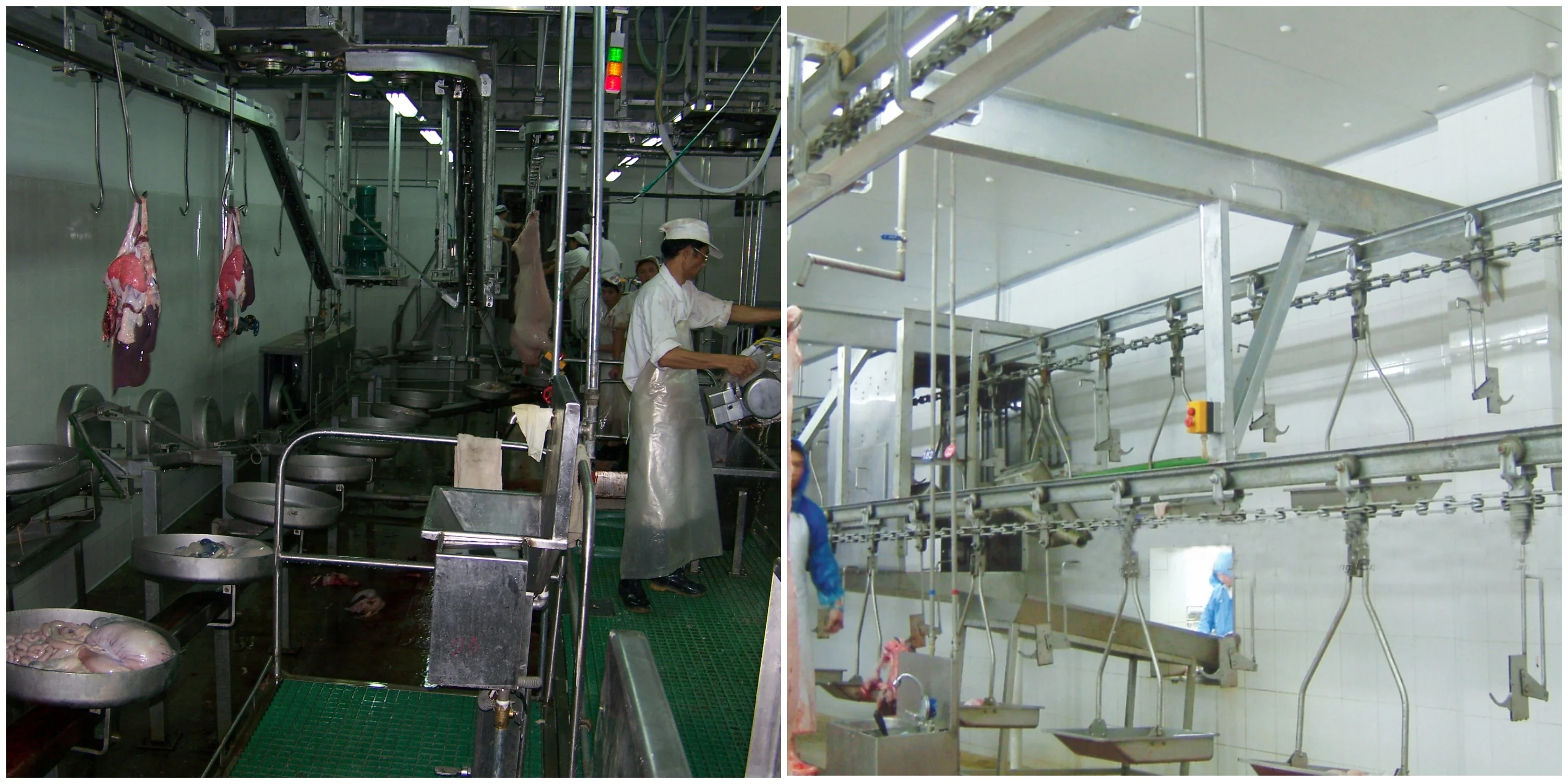 Complete factory-grade swine slaughtering equipment for efficient swine slaughterhouse operations