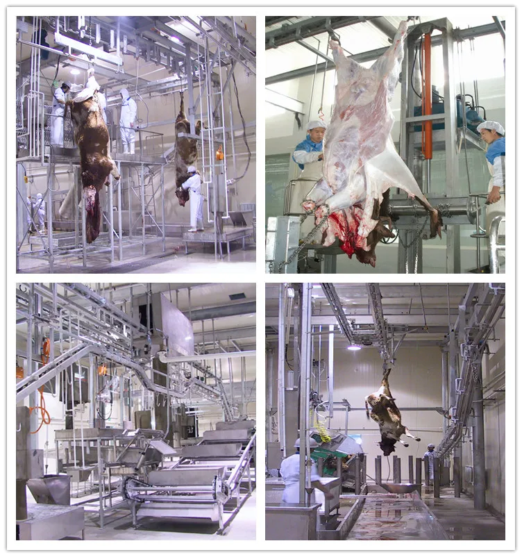 High-quality slaughtering equipment for slaughtering lines