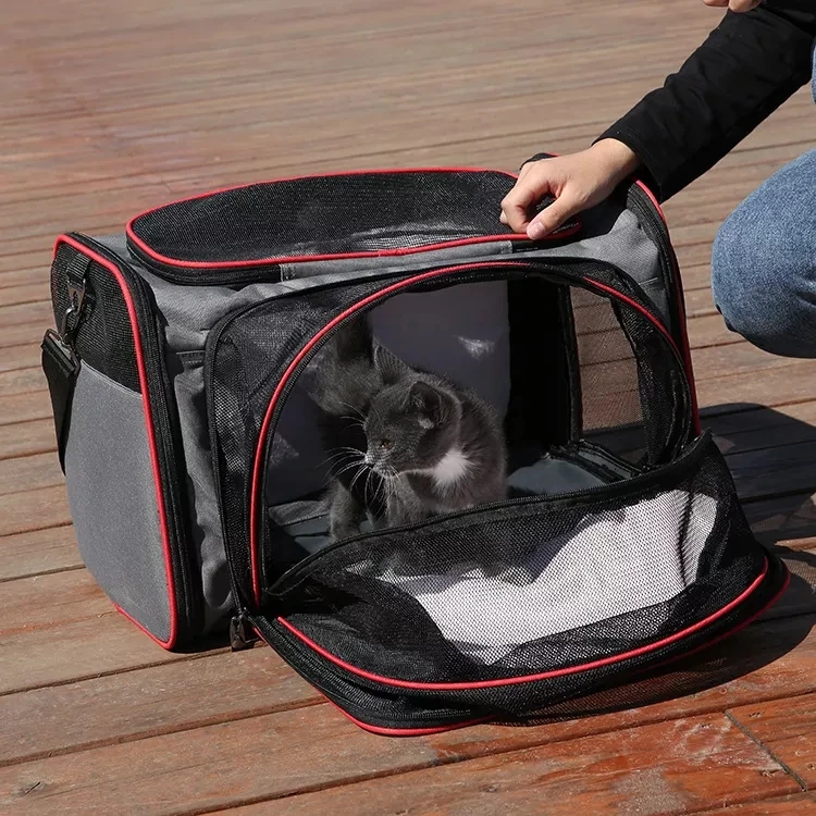 stock cat carrier for two cats hot sale large pet carrier backpack big cat carrier manufacture