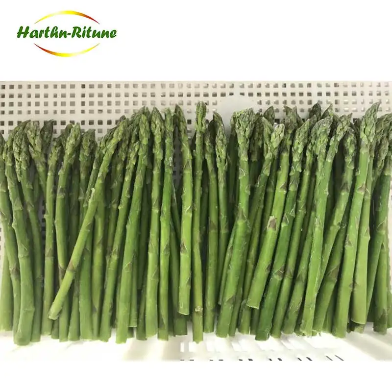 High Quality IQF Frozen Fresh Asparagus Frozen Vegetables for Wholesale 10kg Per Carton