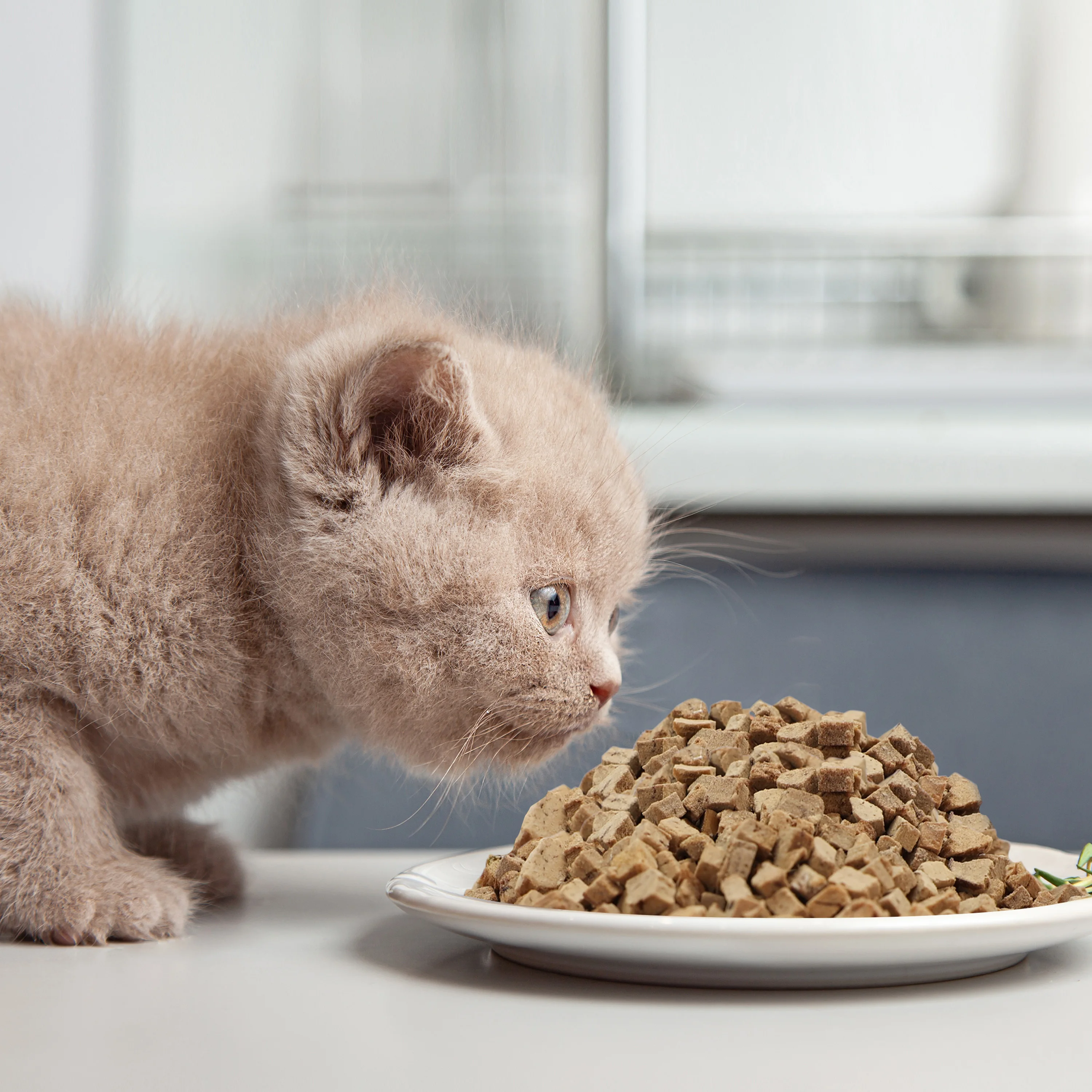 Ranova Natural Private Label Pet Freeze Dried Duck Liver Pet Food And