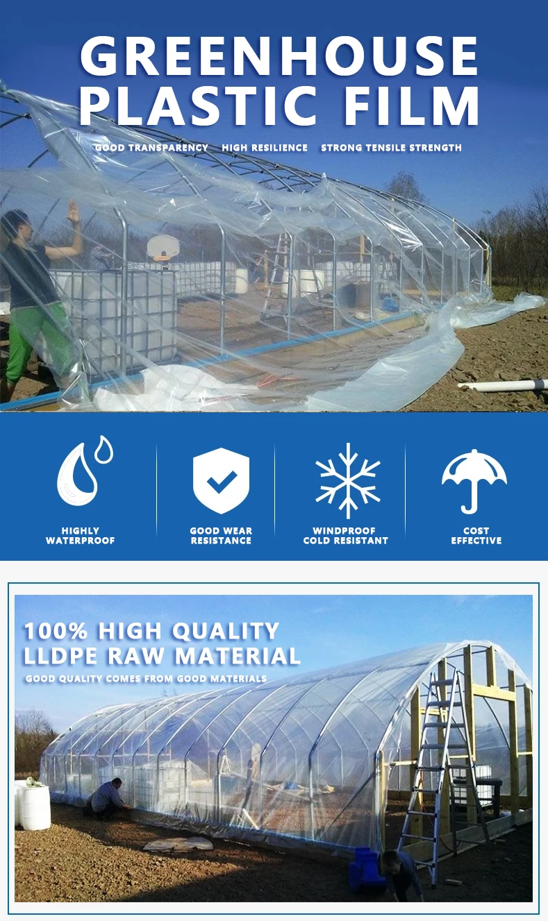Uv Resistant 200 Micron Agricultural Greenhouse Uv Plastic Covering
