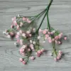 Rosa n. 58