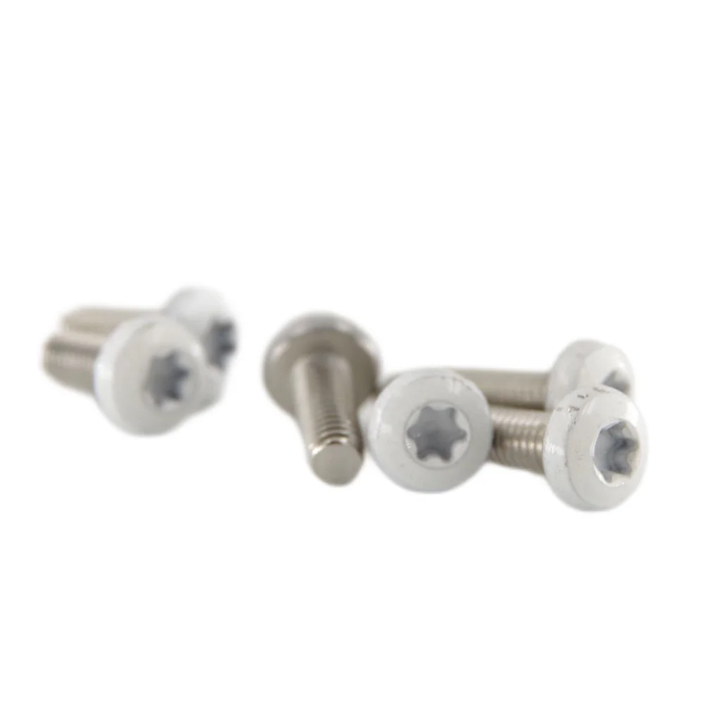 Six-Lobe Flat Head White Painting Screw Stainless Steel Hex Hidden Camera Wall Torx Screw Bolts supplier