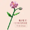 11101-e gardenia