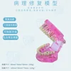 Pathological repair pink
