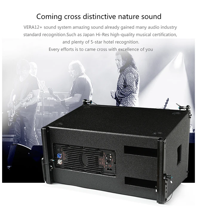 VERA12P Professional Audio Line Array DSP Built-in Active Speakers