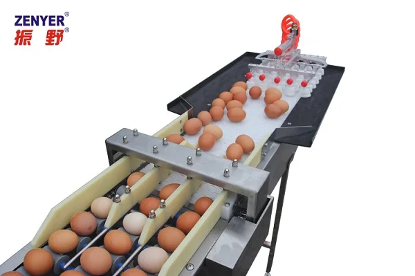 201A Egg washer