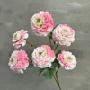 Rosa claro