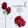 Two-headed pagoda hydrangea with red leaves