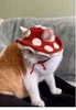 red dot