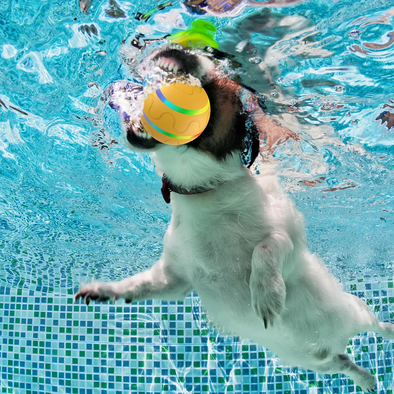 New Remote Control Dog Disk Ball Toys Tumble Smart Dog Cat Toys Electric Interactive Ball Brain Stimulation Toys for Dog