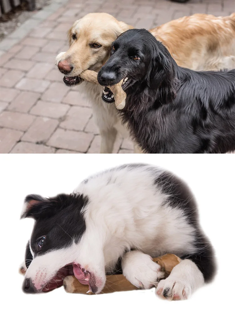 Natural Coffee Wood Tooth Grinding Cleaning Wear Bite Resistant Pet Dog