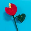 Anthurium