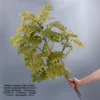 Autumn single-pole lacquer wood leaves-3 forks-34 heads
