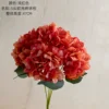 Light Red