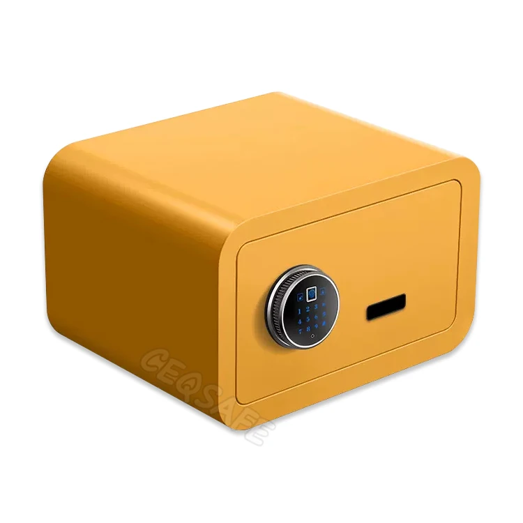 CEQSAFE Mini Metal Money Cash Box with Combination Lock Safe for Security