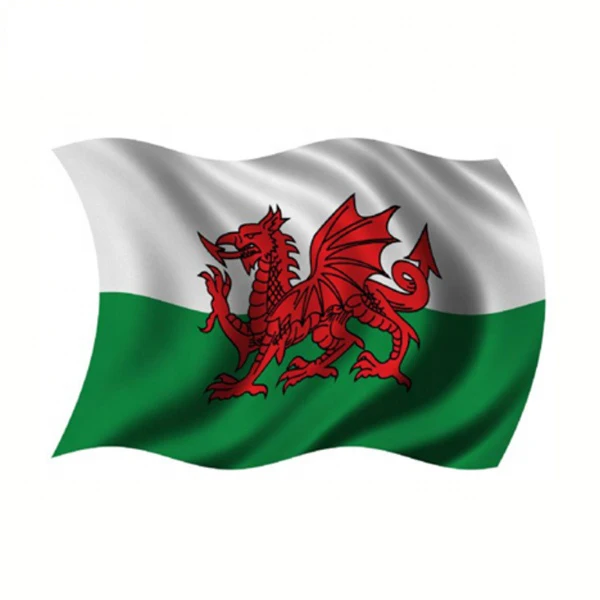 National Dragon Welsh Wales Flag Buy Wales Flag Welsh Flag Dragon Flag Product On Alibaba Com