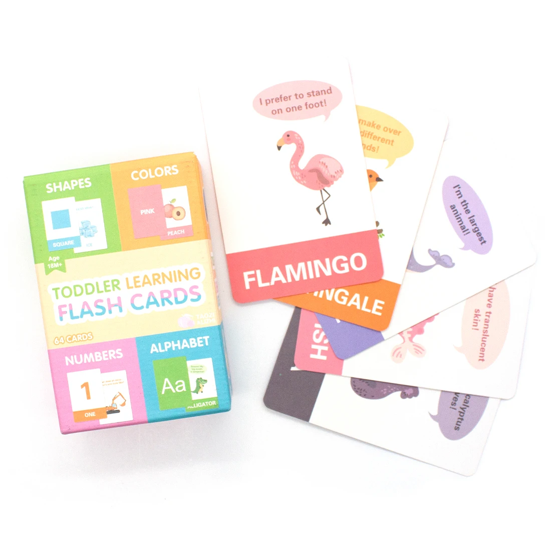 Custom Printable Educational Flash Cards Paper Children Interactive