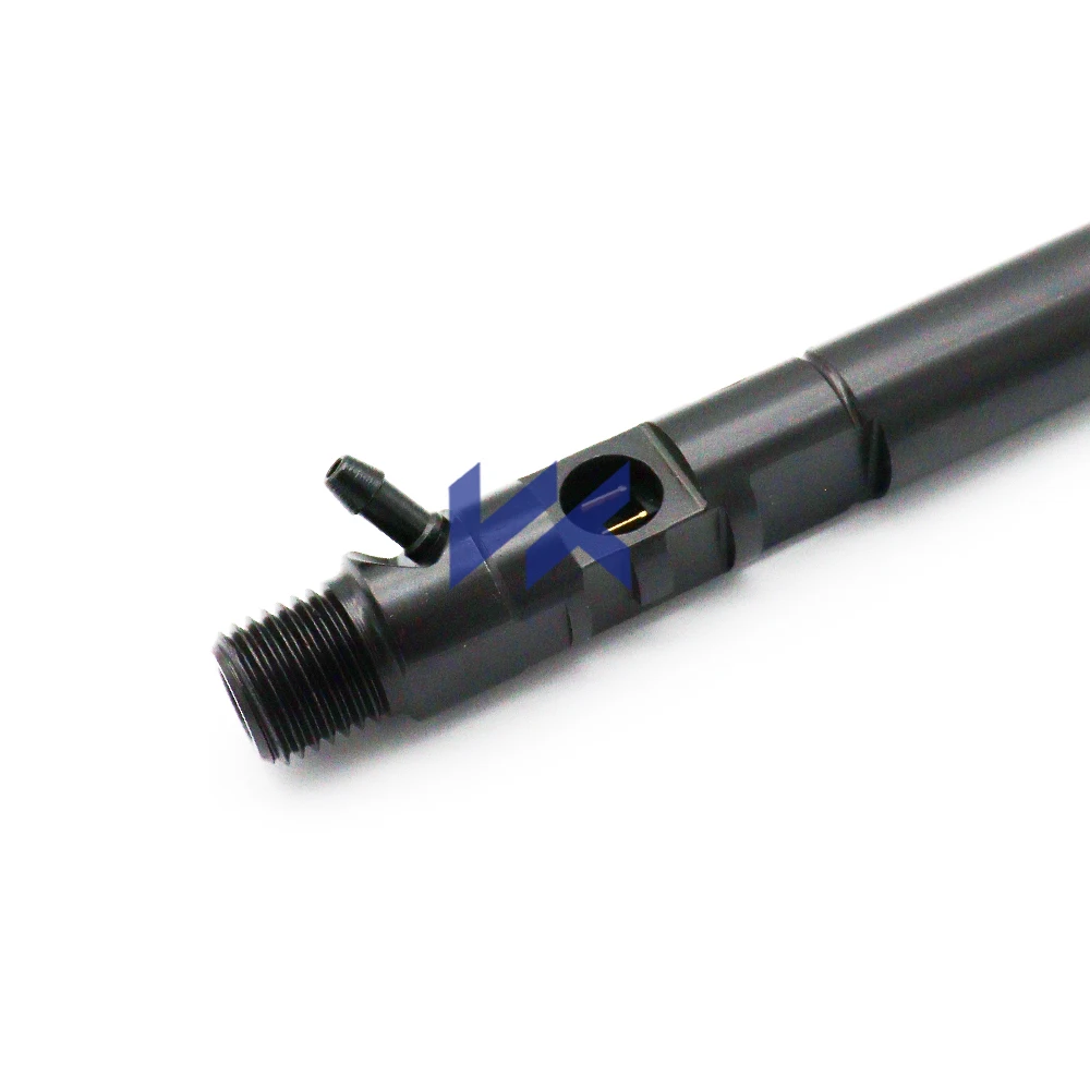 A6650170221 High Quality Common Rail Injector EJBR04401D for Ssangyong Rexton Rodius Kyron 2.7 XDI