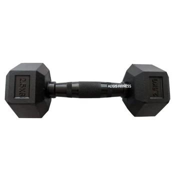AEGIS Gym Used Factory Supplied Cheap Hex Rubber Dumbbell