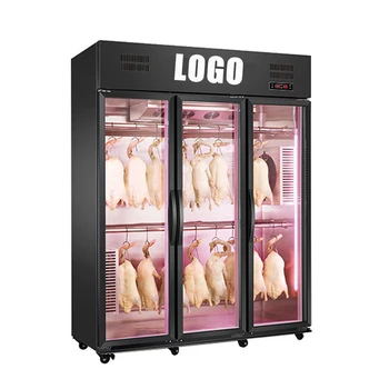 Aged Beef Ager Machine Meat Curing Cabinet Steak Age Fridge Dry Aging Refrigerator for Duck Beef