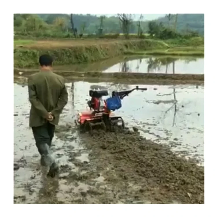 Factory Price Tractor and Rotary Tiller for Sale Mini Power Tiller