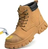 Wheat