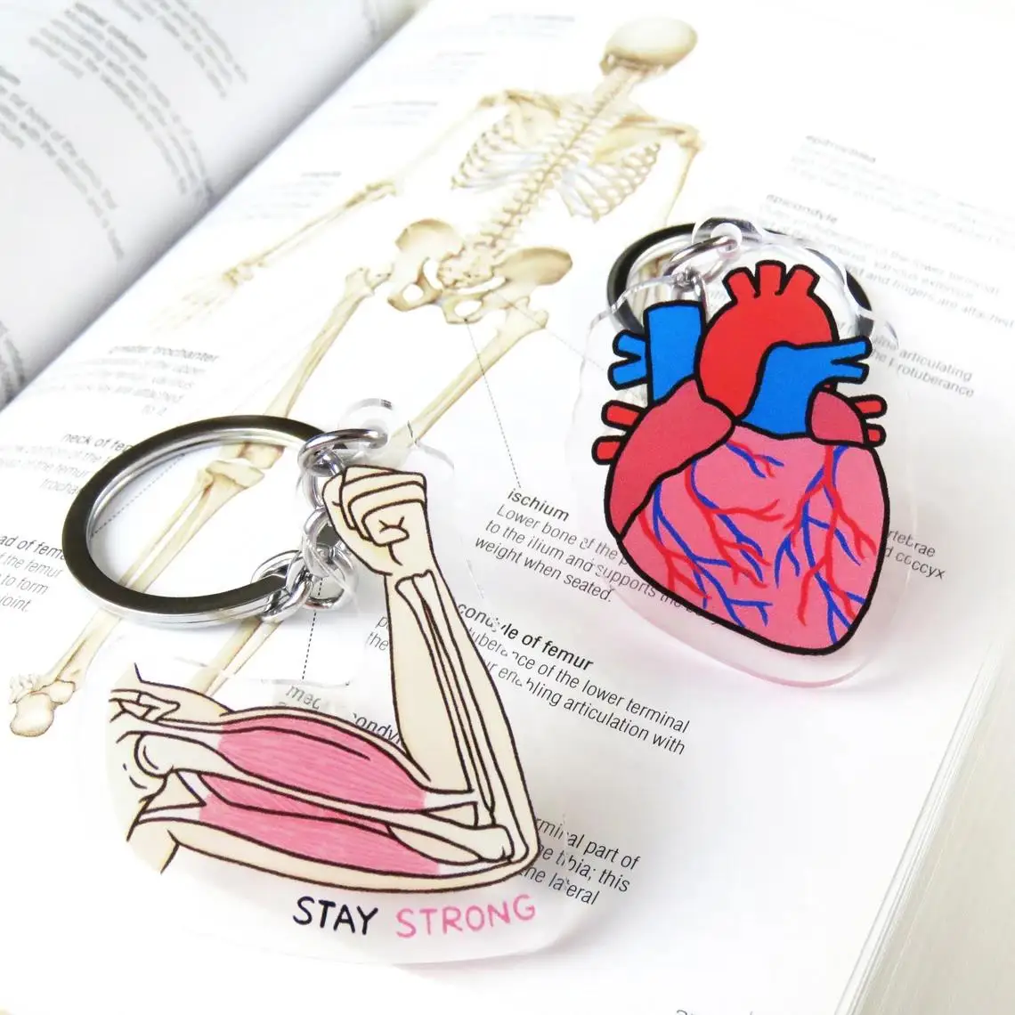 Internal Organs Kidney Teeth Eye Anatomy Keychain For Doctor Nurse