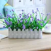 30 Baby's Breath Milan Flower Blue