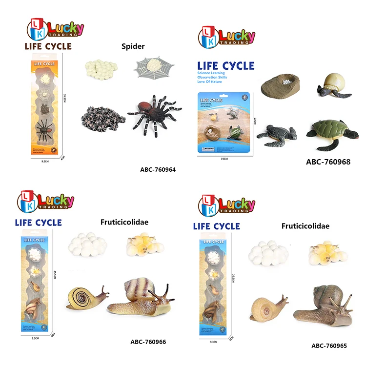 New Arrival Life Cycle Toy Insect Fish Rooster Butterfly Plant Animal Growth Life Cycle