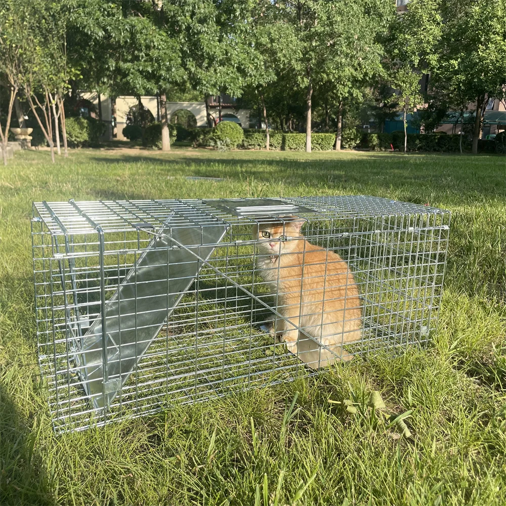 Collapsible Live Animal Cat Traps Cage for Cats Squirrels Weasals